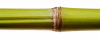 Bamboe_1020